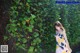 A woman standing in front of a wall covered in ivy.